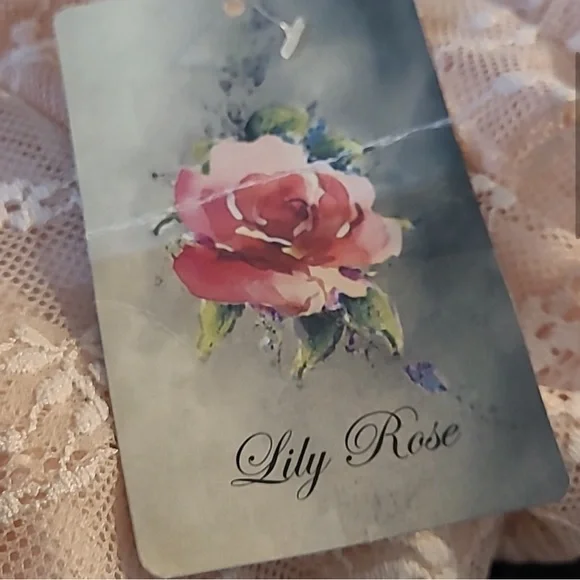 NWT Lily Rose dress. Blush size small - Picture 5 of 8